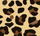 Leopardato